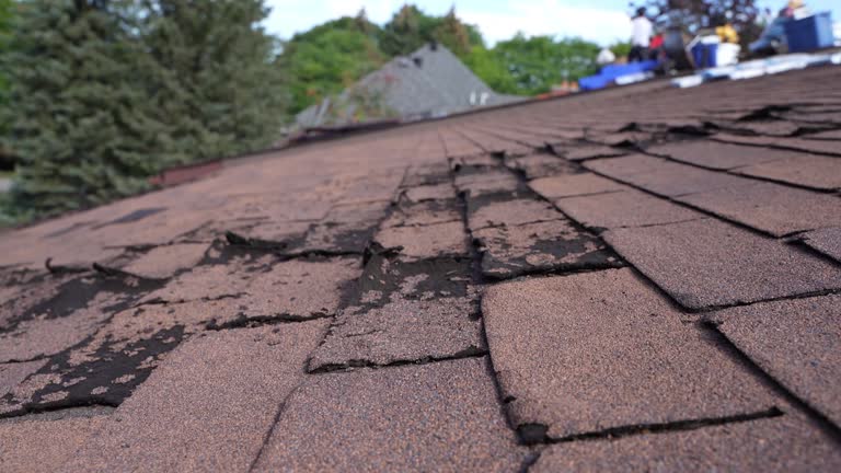 Best Roof Coating and Sealing  in Sleepy Hollow, CA